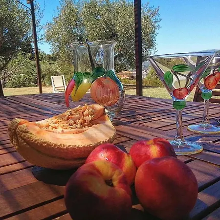 Casa vacanze Lazzarini Rosella In Con Piscina A 2km Dal Mare Imperia